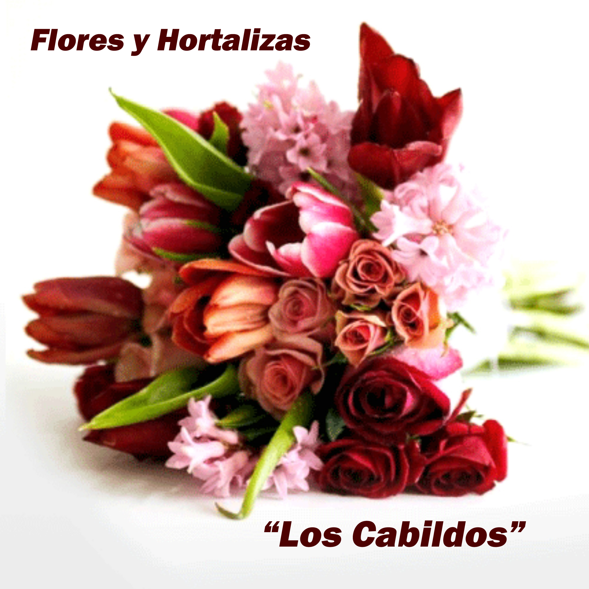 Foto Cartel Flores Y Hortalizas Los Cabildos