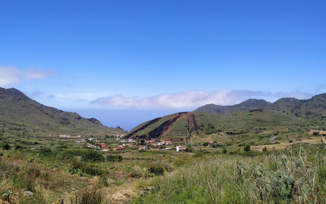 Valle El Palmar-Buenavista del Norte