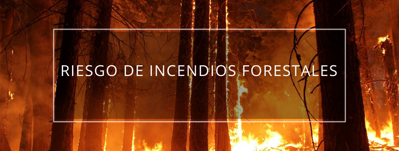 Foto Noticia Riegos de Incendios Forestales