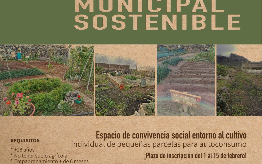 El Ayuntamiento de Buenavista del Norte abre el plazo de solicitudes para la cesión de parcelas del huerto comunitario.