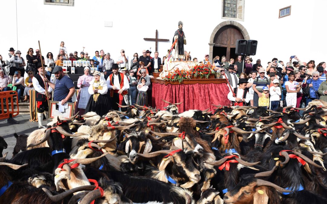 Tipismo y tradición se dan cita en honor a San Antonio Abad, este domingo 28 de enero en Buenavista del Norte
