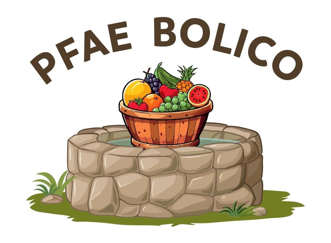 Logo PFAE Bolico
