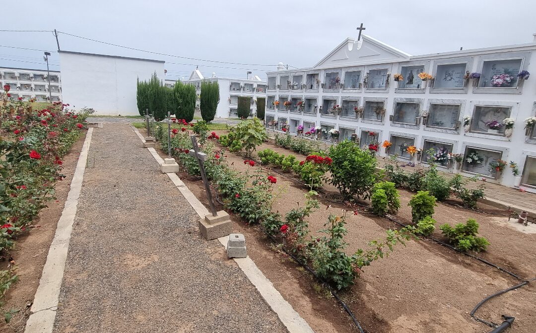 El Ayuntamiento de Buenavista inicia la construcción de 96 nichos en el cementerio municipal 